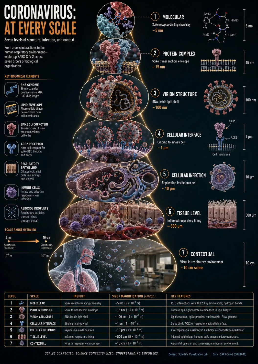 SYSTEMYou are a scientific infographic visualization...